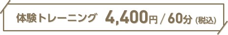 体験トレーニング 4,400円/60分(税込み)